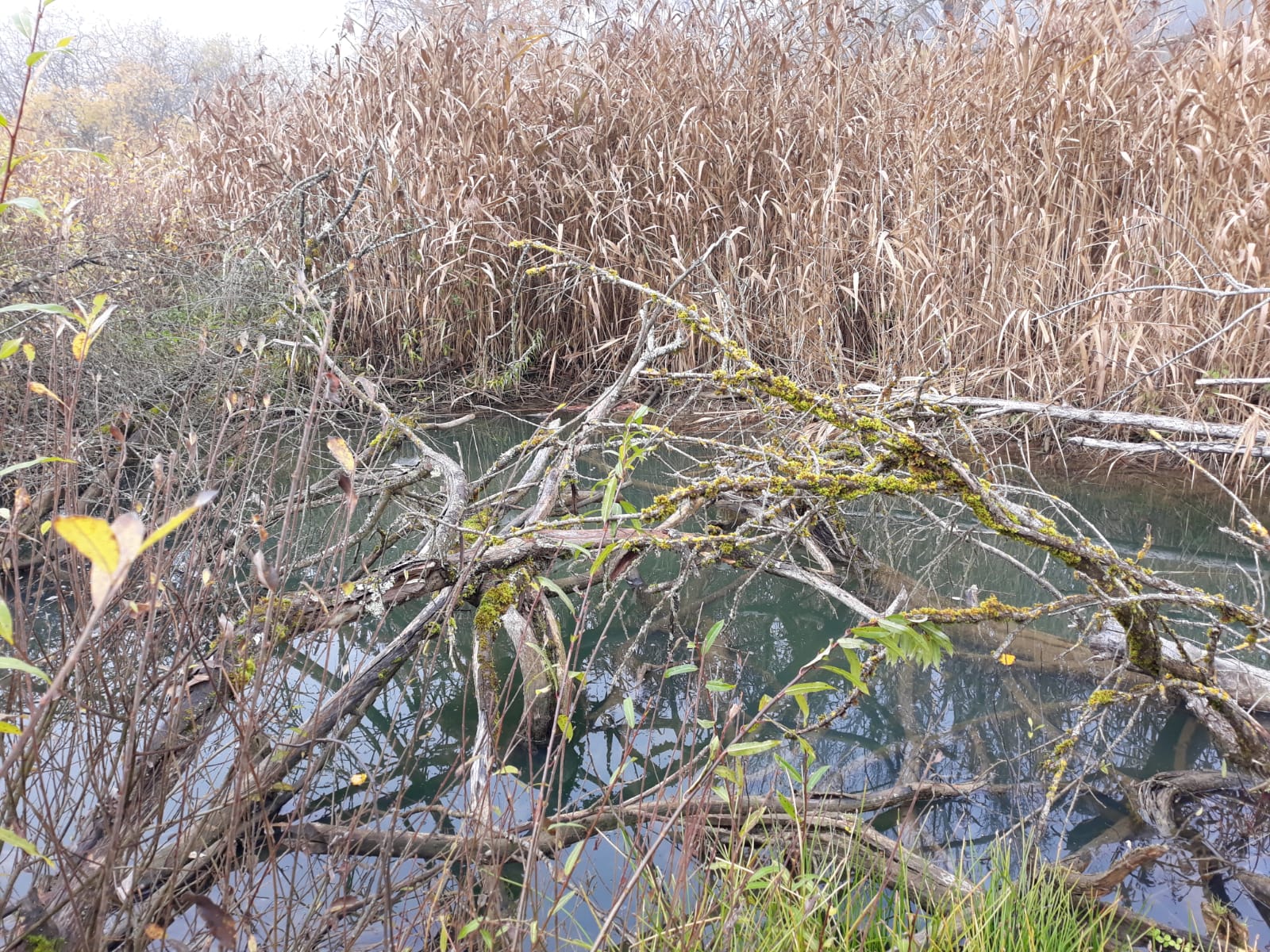 Galeriebild: WhatsApp Image 2022 06 05 at 16.58.34